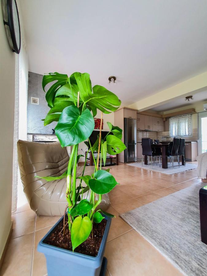 Olympian Two Floor Apartment Leptokarya  Exterior foto
